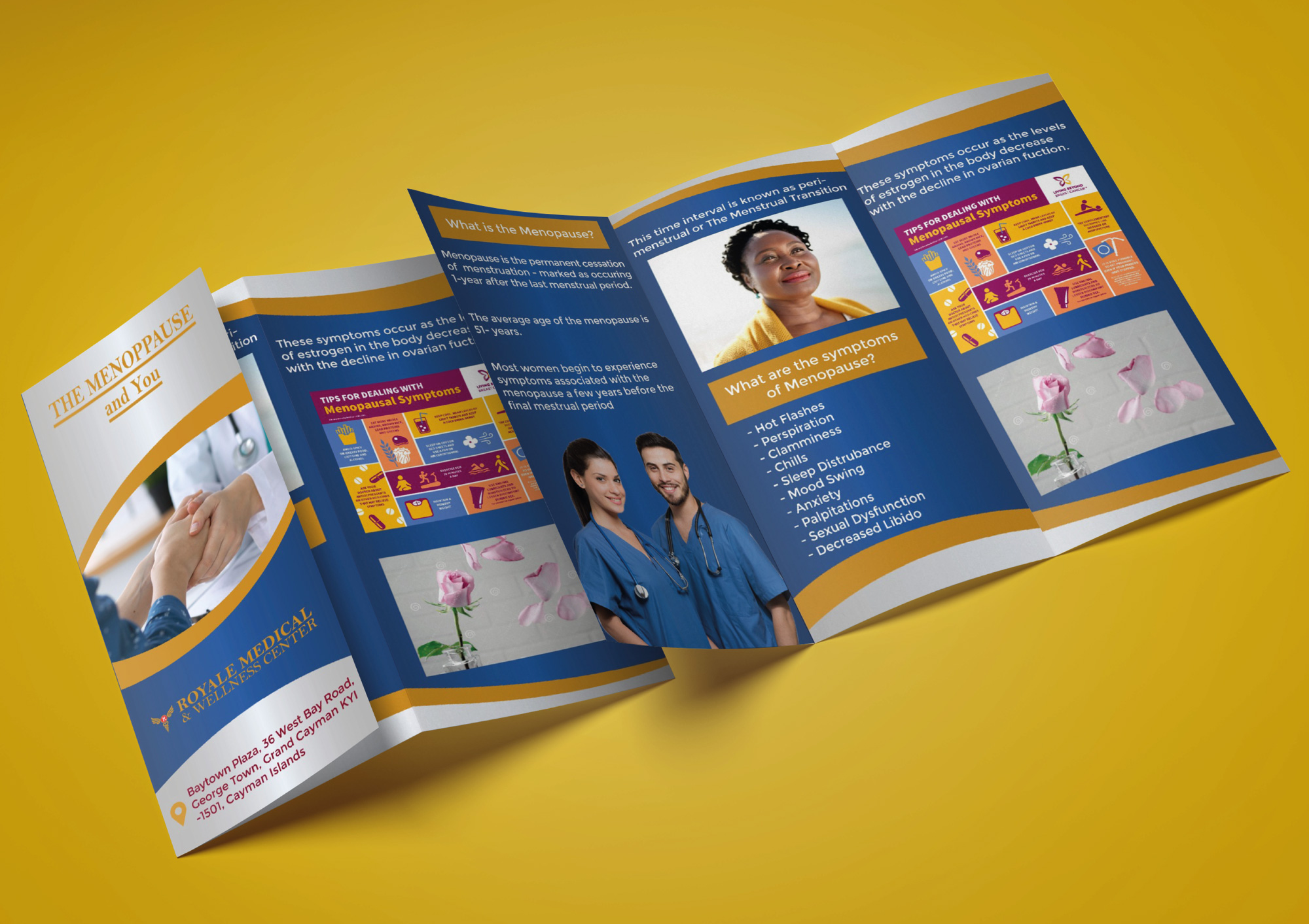 Buy Professional Brochure Design
