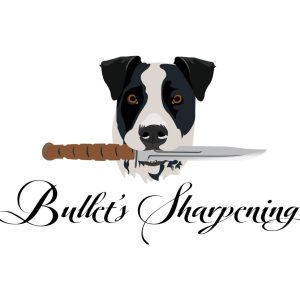 Buy Custom Professional Logo Design