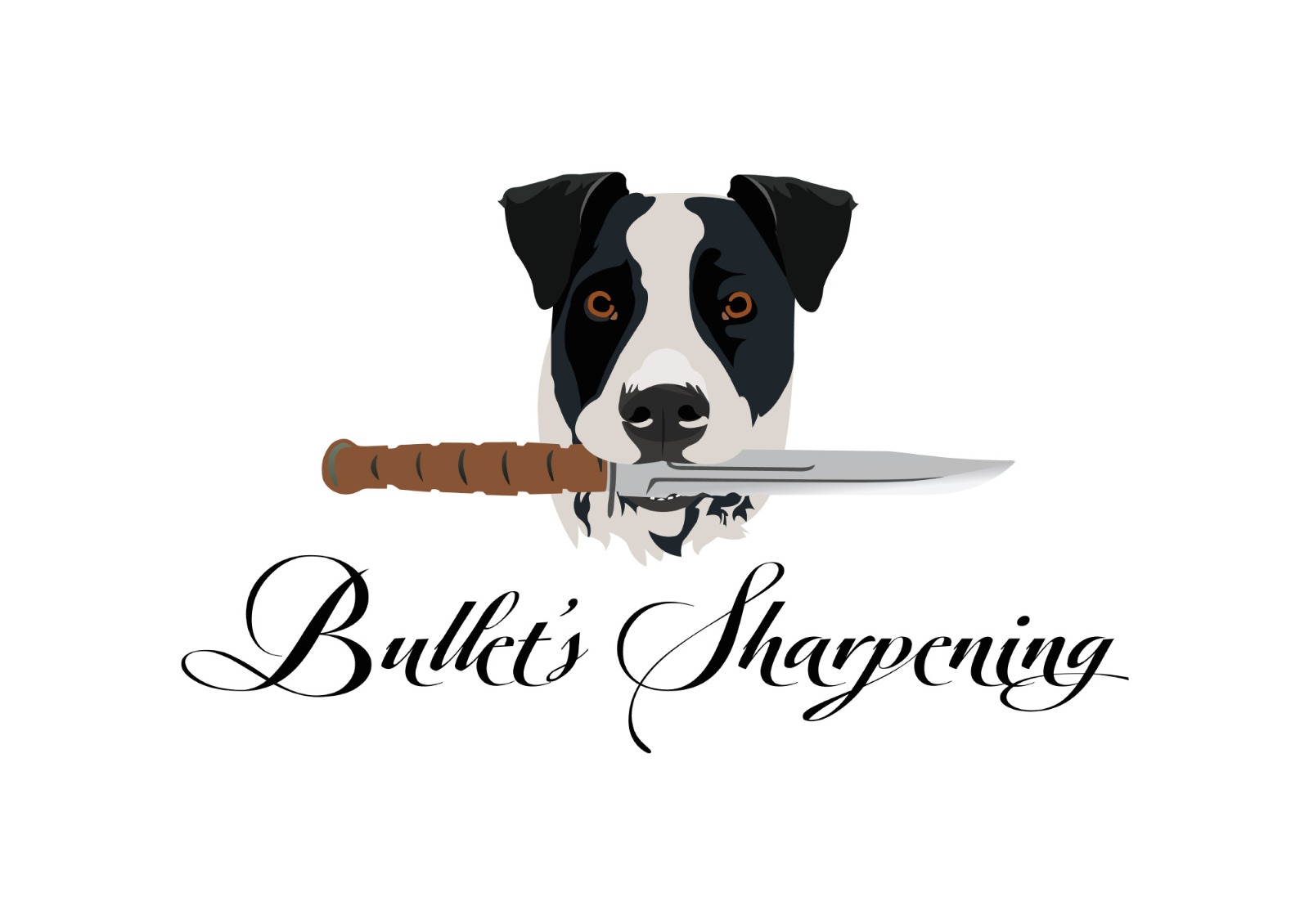 Buy Custom Professional Logo Design